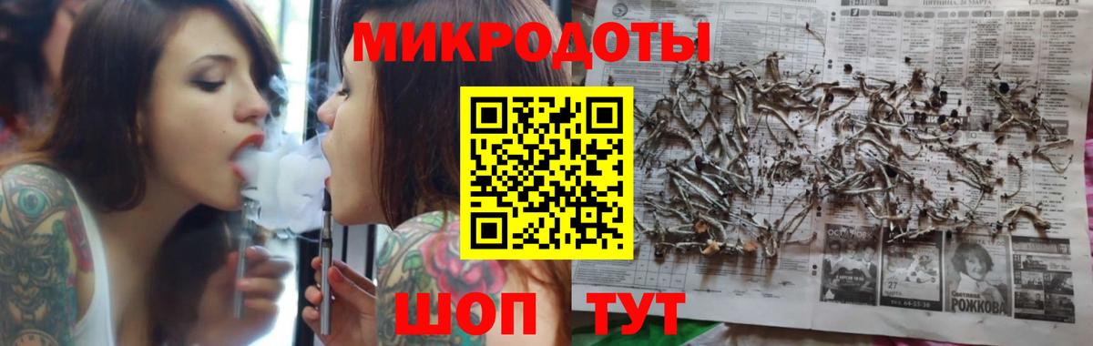 Галлюциногенные грибы Psilocybe Белореченск
